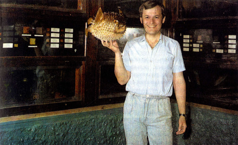 1 - автор с кубинской рыбой-ежом. (Diodon hystrix) на экспозиции Аквариума Московского зоопарка