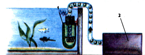 Внутренний фильтр: / — пассивный поролоновый фильтр на присоске; 2 — микрокомпрессор со шлангом и распылителем