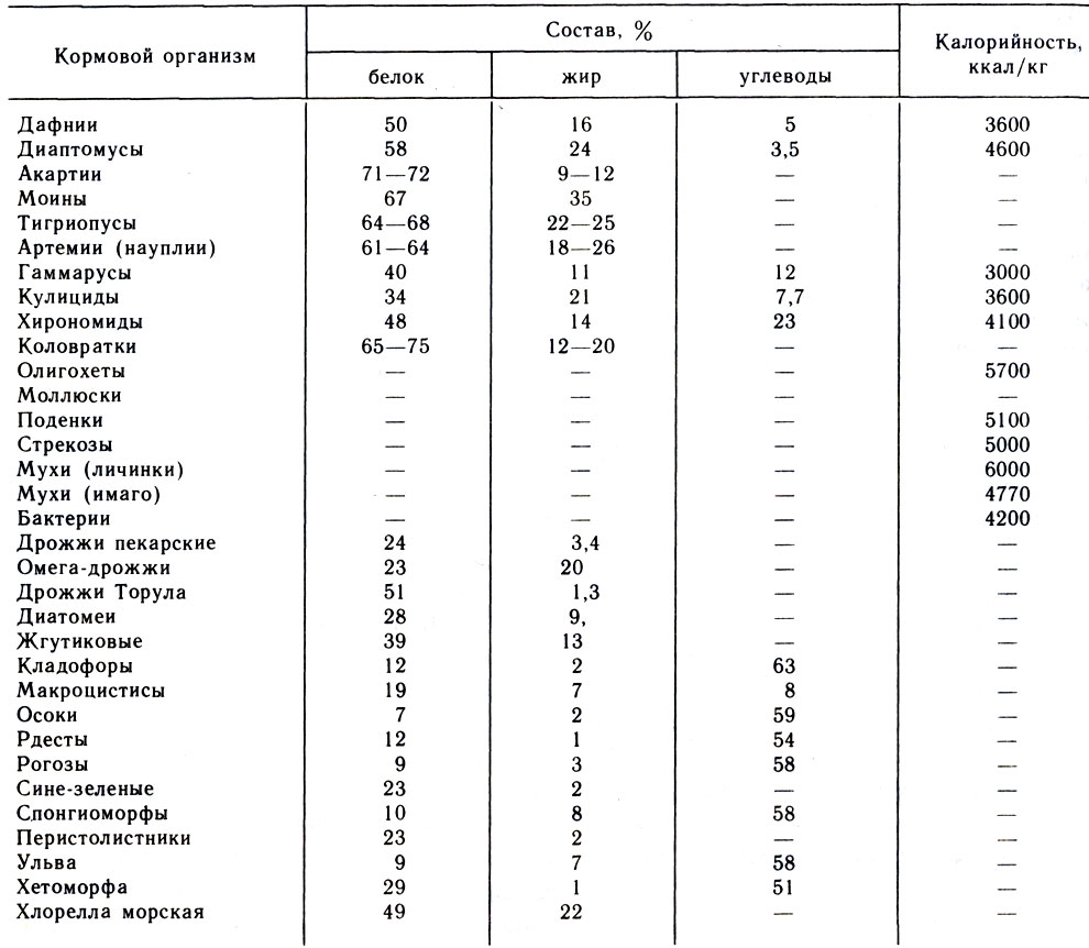 Таблица 6. Характеристика кормовых организмов аквариума 