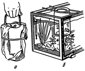 Рис. 8. Переноска (а) и выравнивание температуры в баночке с рыбой (б)